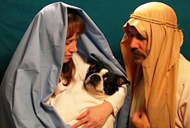 dog nativity